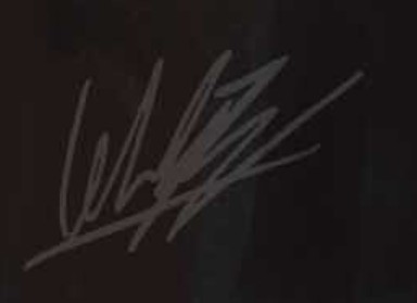 L J Koh  Signature