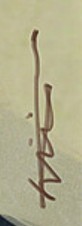LiXin Yin  Signature