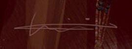 LiXin Yin  Signature