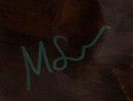 Mark Skinner  Signature
