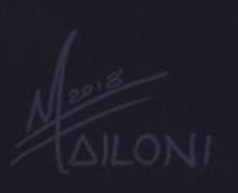 Mirko Failoni  Signature