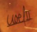 Noel Cabrera Fernández  Signature