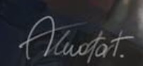 akwafort Signature