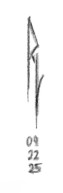 Rienque LeVérité  Signature
