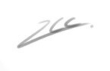 Anne-Lise Loubiere  Signature