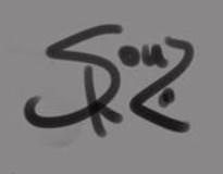 Ramirez de Souza  Signature