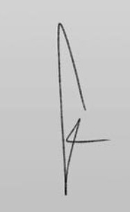 Gabriel López  Signature