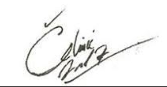 Filip Čekić  Signature