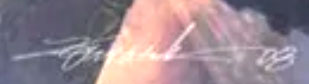 Michael Komark Signature