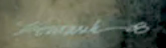 Michael Komark Signature