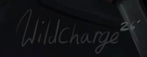 Wildcharge  Signature
